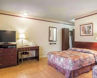 Repotel Levis - 12