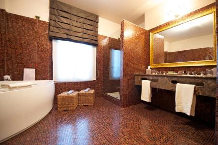 Grand Visconti Palace - 28