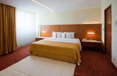 Holiday Inn Puebla Finsa by IHG - 103