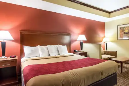 Econo Lodge Inn & Suites Little Rock SW - 3