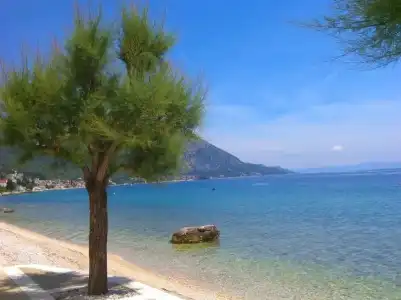 Villa Antonio - 67