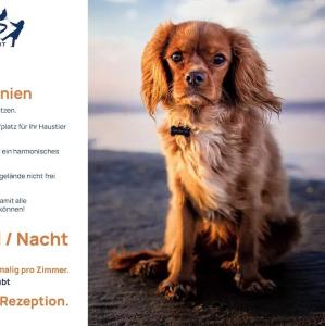 Und Restaurant Windland - 47