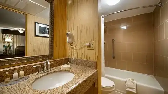 Best Western Plus El Paso Airport & Conference Center - 75
