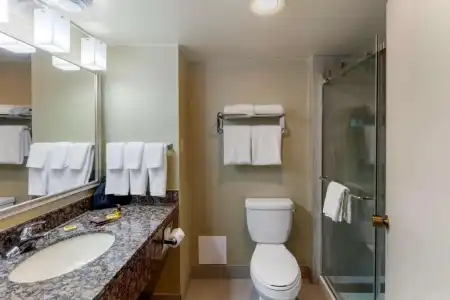 Best Western Plus Toronto Airport - 38