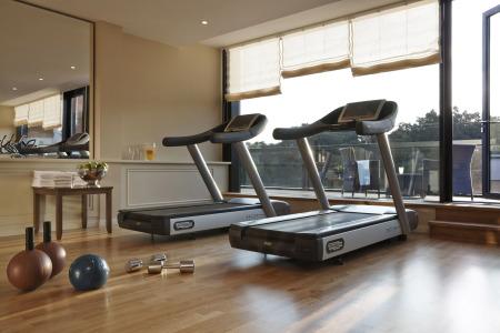 Hilton Frankfurt Gravenbruch - 17