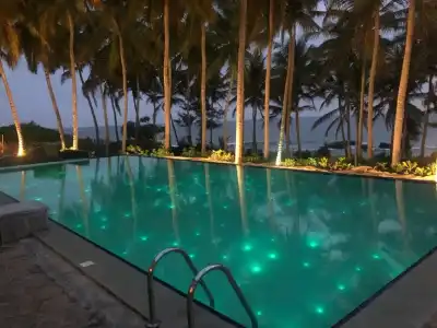 Turtle Bay - 53