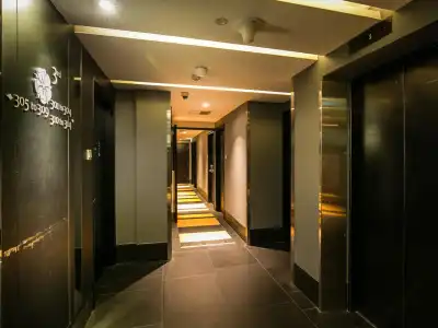 Venue - The Lily - 12