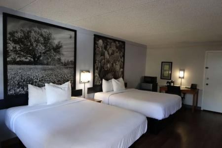 Super 8 by Wyndham Austin South / I-35 - 12