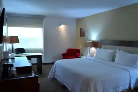 Holiday Inn Select - Guadalajara by IHG - 86