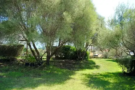 Sa Pedra - 89