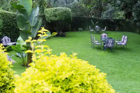 Aishi Machame - 12