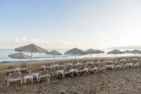 Zeuss Palm Beach - 23