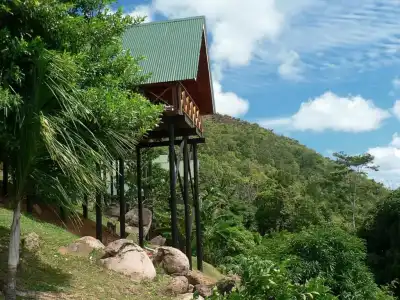 Mango Lodge - 137