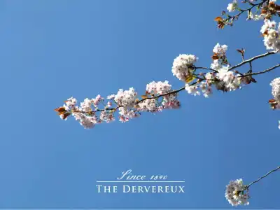 The Devereux Boutique - 10