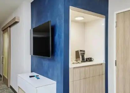 SpringHill Suites by Marriott Chicago Chinatown - 0