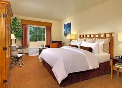 Silverton Casino Lodge - Newly Renovated - 51