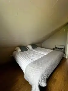 Sauðanes Guesthouse - 38