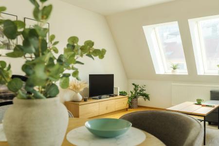 Business & Family Ambiente Apartments - 150