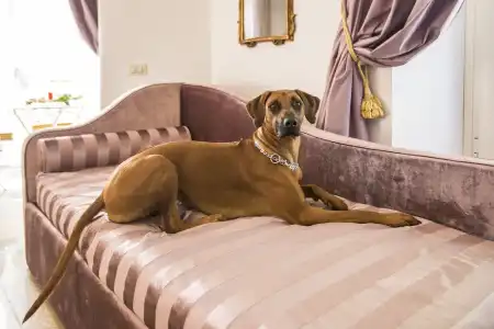 Trastevere Royal Suite - 84