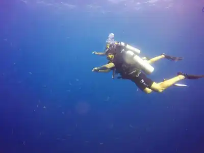 DPM Koh Tao Diving & Bar - 12