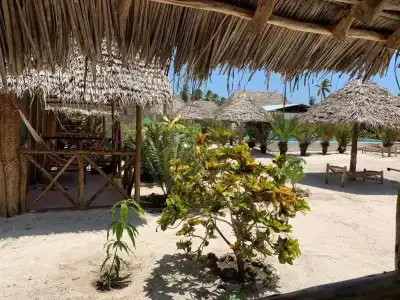 New Jambo Bungalows - 22