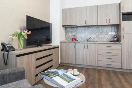 Barok and Apartments - 43