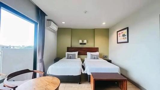 Olive Tree - 49