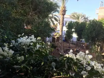 Sunrise Dahab Lodge - 8