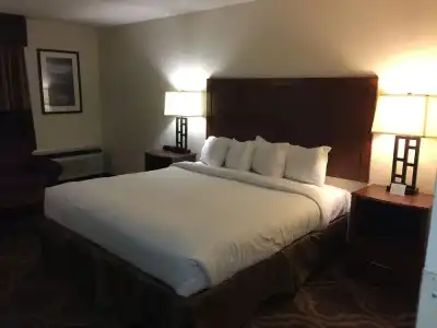 Ashmore Inn and Suites - 14