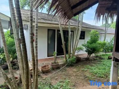 Faye Orchid Resort - 124
