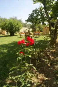 Ape Rosa Relais - 45