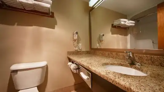 Best Western Plus Guildwood Inn - 34