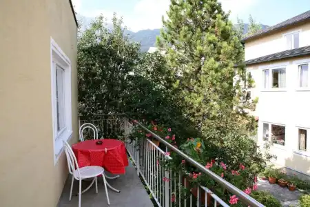 Alpenrose - 13