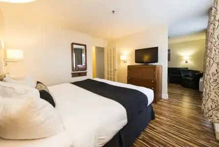 Hôtel & Suites le Dauphin Québec - 3
