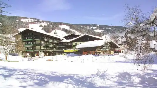Hotel-Gasthof Unterwirt - 11