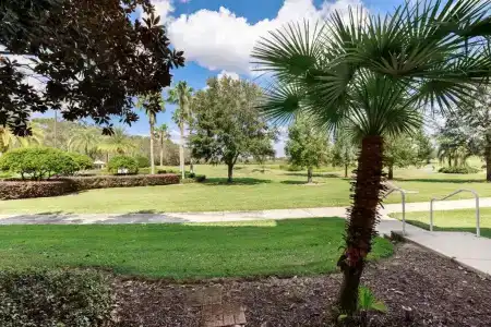 Reunion Resort & Golf Club - 185