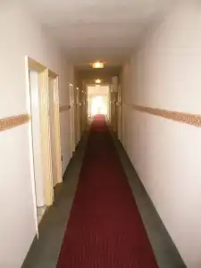 Dominik Panzió - 12
