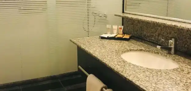 Golden Tulip Brasilia Alvorada - 95