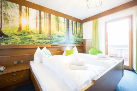 Guesthouse Pension Grafenstein - 37