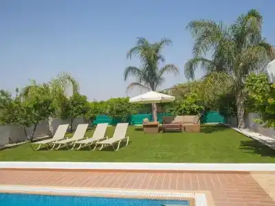 Palm Village Villas - 13