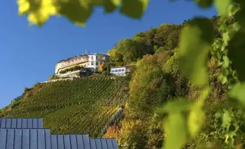 Restaurant & Hohenzollern - 8