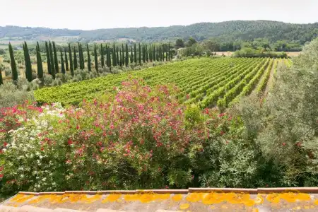 Relais la Pieve Vecchia - 69
