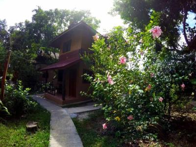 Morning Mist Resort - 51