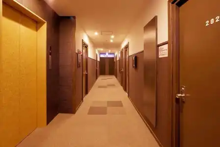 Ace - 13
