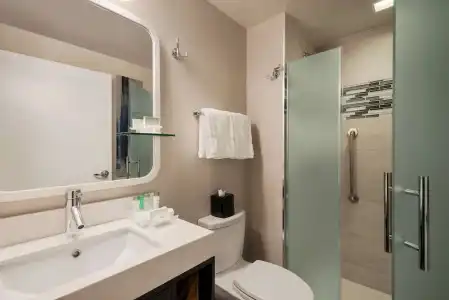 Homewood Suites New York/Midtown Manhattan Times Square - 52