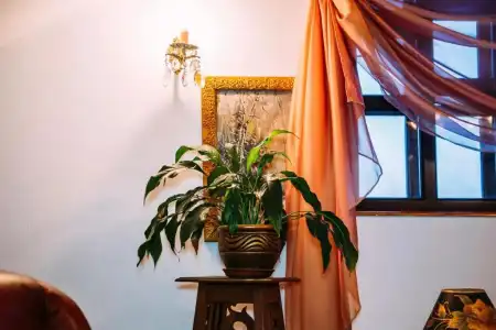 Antique House - 27