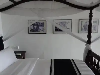 Suite Lanka - 29