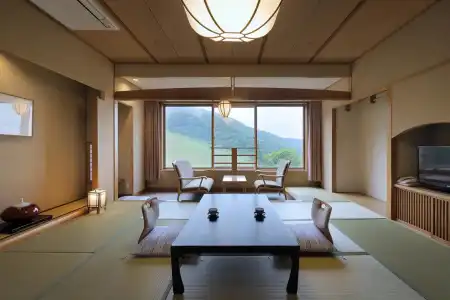 Zao International - 25