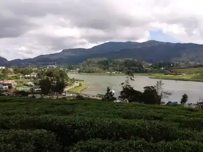 Eco Creations Nuwaraeliya - 76