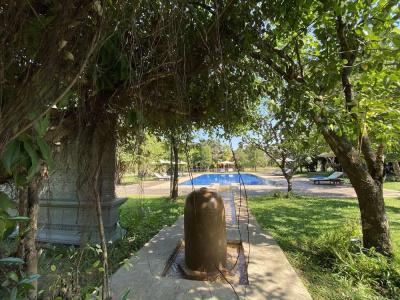 Mane Hariharalaya - 19